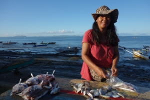 Global Environment Facility approves FAO-led projects in Cambodia, Thailand and Viet Nam